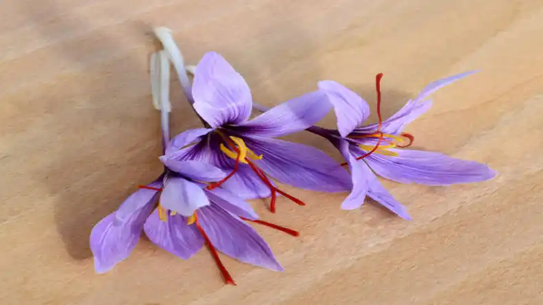 تجارت چمدانی زعفران به دبی