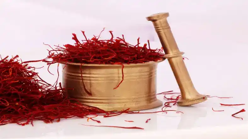 زمان کاشت زعفران