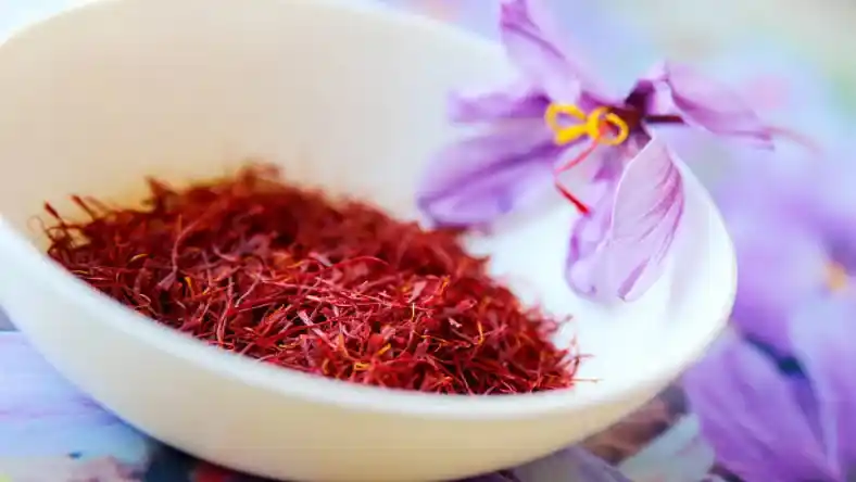 نحوه برداشت گل زعفران