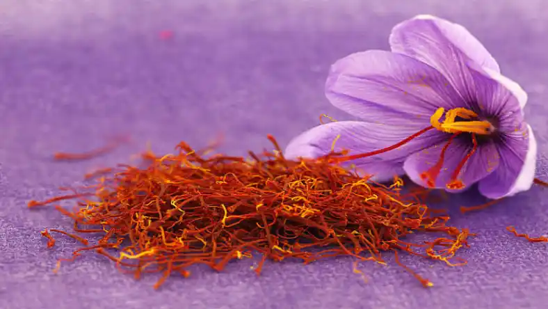 محلول پاشی اسید هیومیک برای زعفران