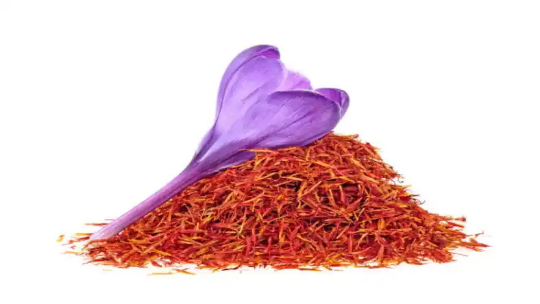 نابودی کامل آفات زعفران