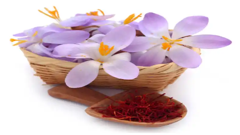 چه سمی برای زعفران خوب است