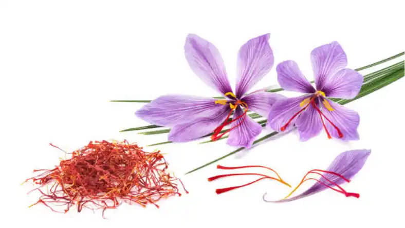 چگونه تاجر زعفران شویم