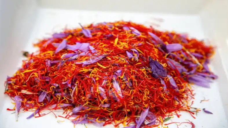 کاربرد گل زعفران