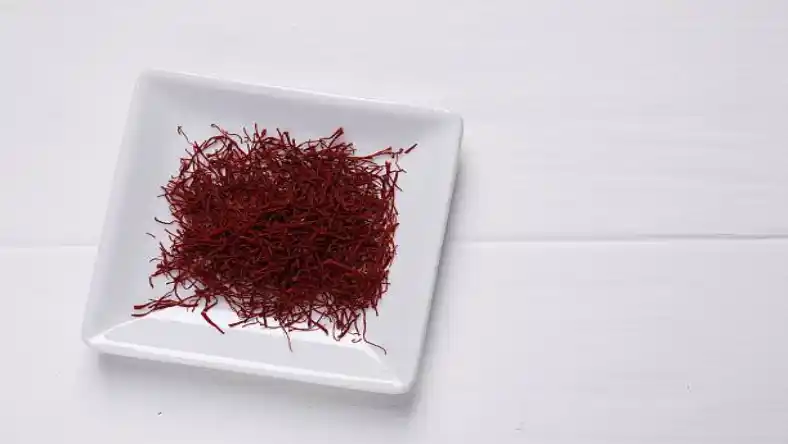 خرید پیاز زعفران گلخانه ای