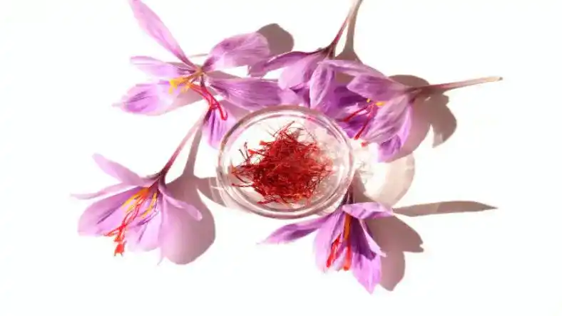 خرید کود زعفران