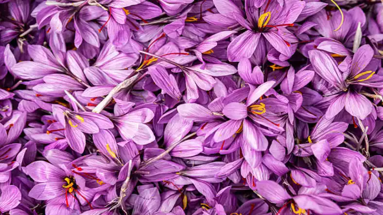 پاساژ زعفران دبی