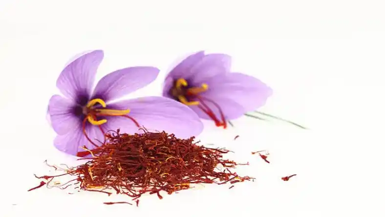 کود ماکرو برای زعفران