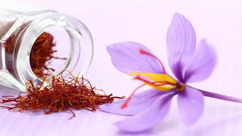 خرید سم علف کش برای زعفران