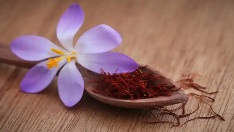 زعفران پهن برگ است یا باریک