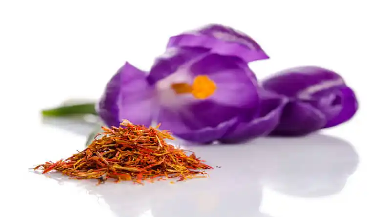 فروش عمده زعفران در تهران