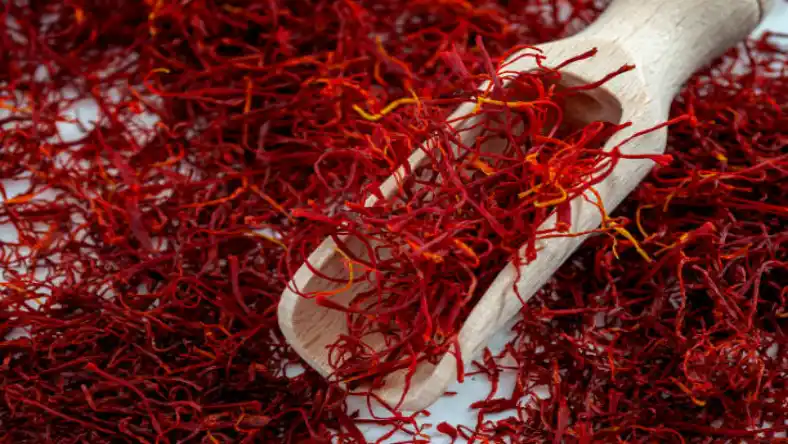 فروش عمده زعفران صادراتی