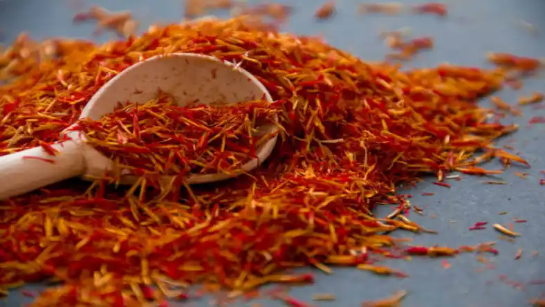 کاشت زعفران با تیلر