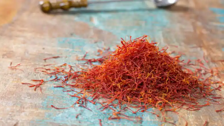 کاشت زعفران در باغ پسته