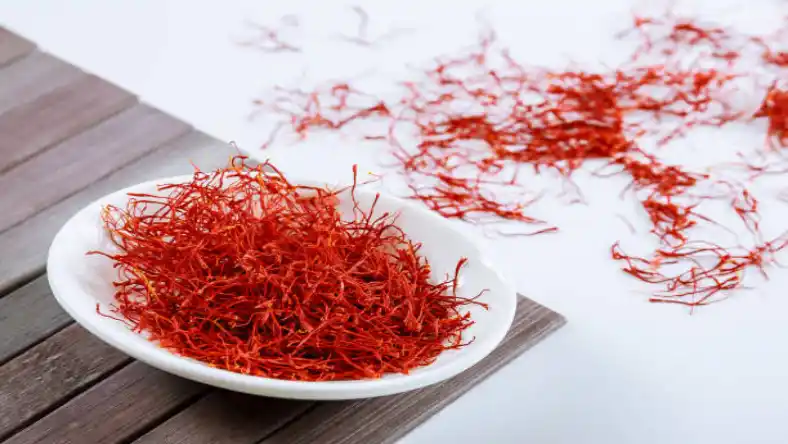 کاشت زعفران در سبد مشهد