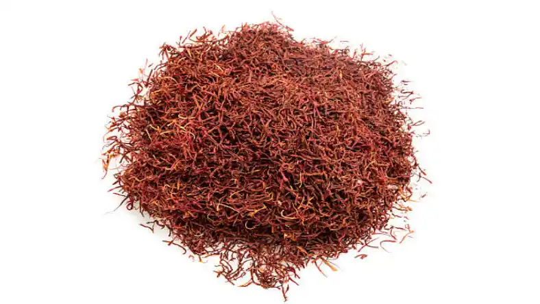 کاشت زعفران در سوله