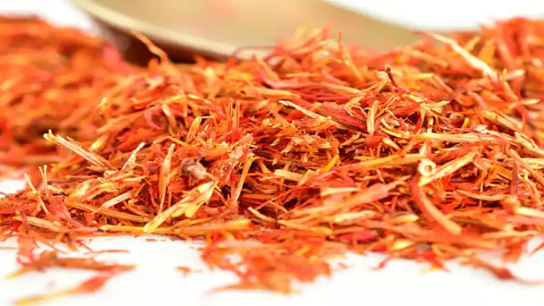 کاشت زعفران در گلدان مشهد