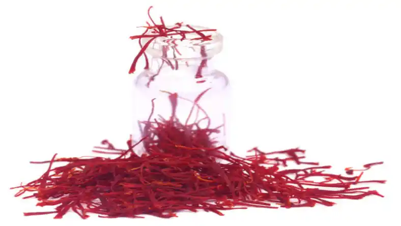 سود خالص کشت زعفران