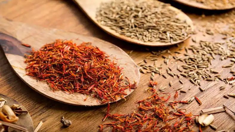 فروش پیاز زعفران در تبریز