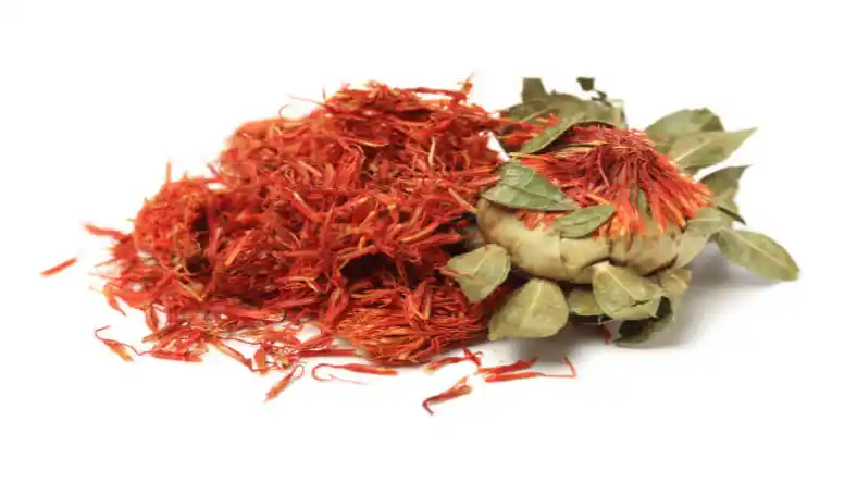 کاشت زعفران در بطری نوشابه