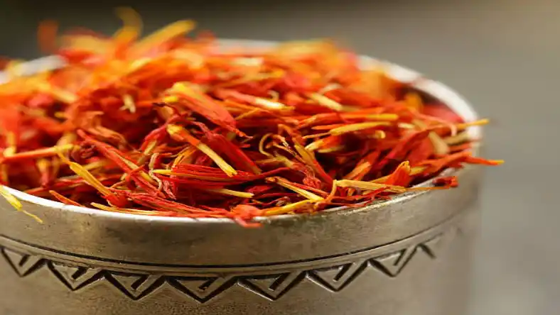 کاشت زعفران در صومعه سرا
