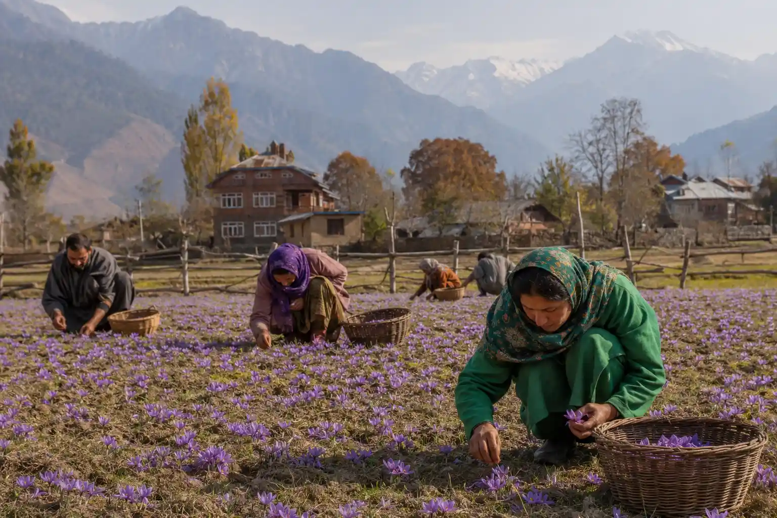 رتبه دوم تولید زعفران کدام کشور است
