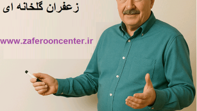 توجیه اقتصادی کشت زعفران گلخانه ای