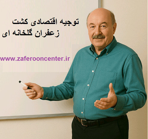 توجیه اقتصادی کشت زعفران گلخانه ای