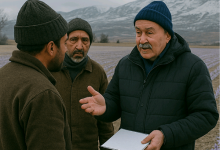 زمان کاشت زعفران در مناطق سردسیر