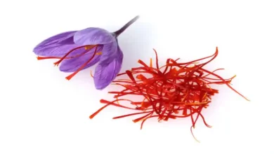 تجارت چمدانی زعفران به دبی