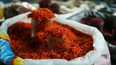 جدول تغذیه زعفران