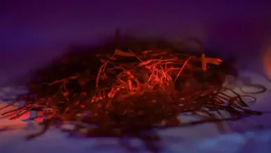 درآمد کشت زعفران