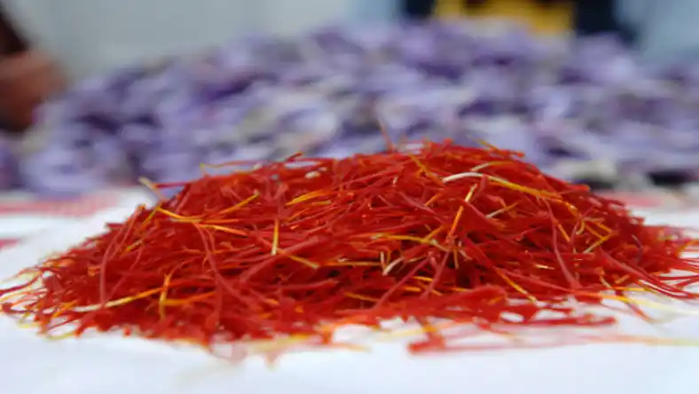 دستمزد کارگر زعفران