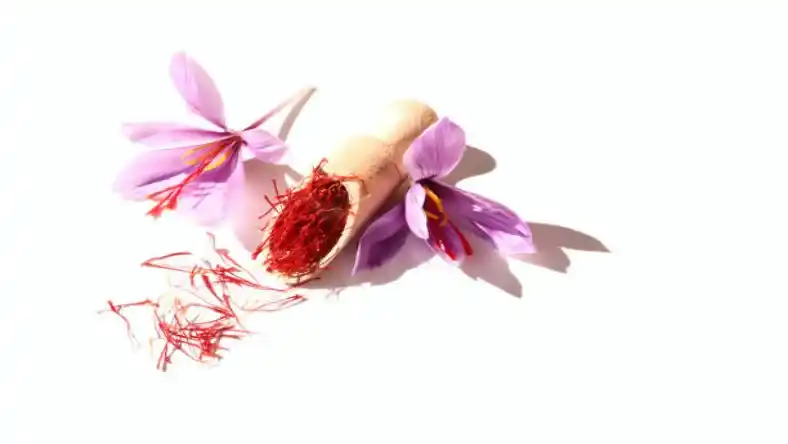 شرایط آب و هوایی مناسب برای کاشت زعفران
