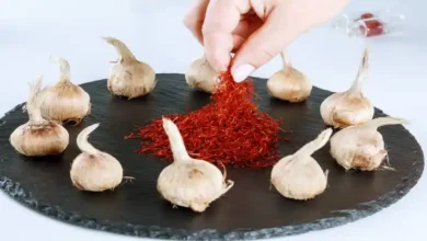 علت پوسیدگی پیاز زعفران