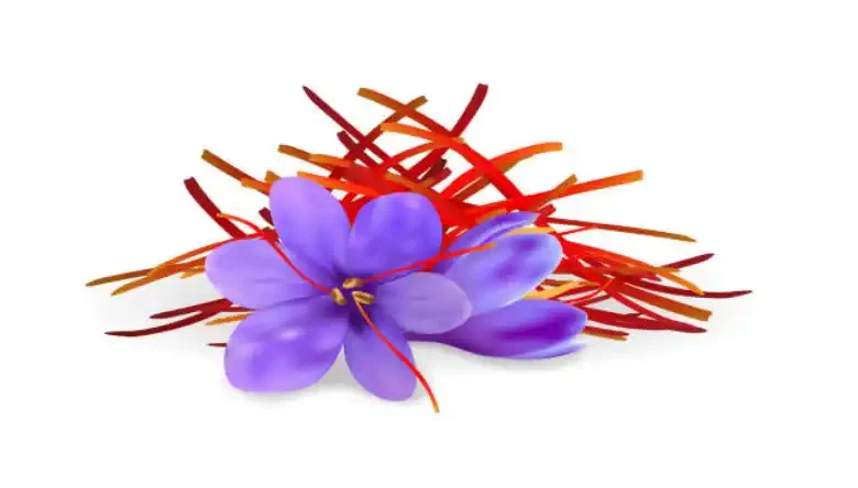 فسفیت پتاسیم برای زعفران
