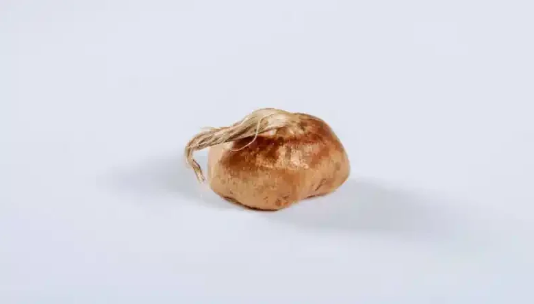 قیمت تخم زعفران