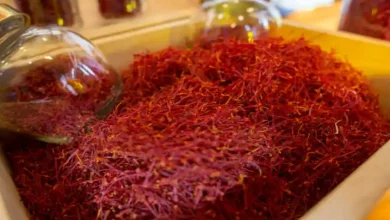 قیمت هر گرم زعفران در اروپا