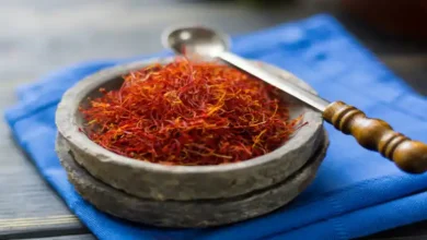 بزرگترین تولید کننده زعفران در ایران
