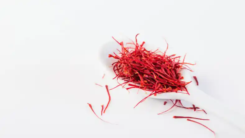 تغذیه زعفران در زمستان