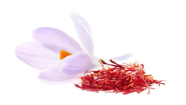 خرید کود محلول پاشی زعفران
