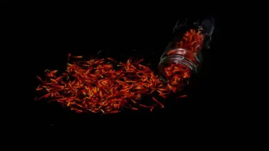 سود صادرات زعفران به عراق چقدر است