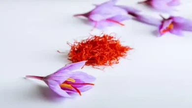 شرایط محلول پاشی زعفران
