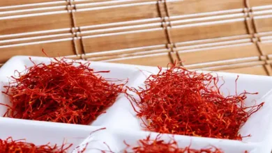 محلول پاشی زعفران در فروردین