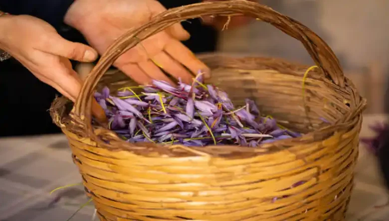 مرکز فروش پیاز زعفران در تهران