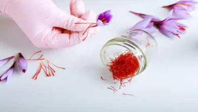 چگونه گلبرگ زعفران را خشک کنیم