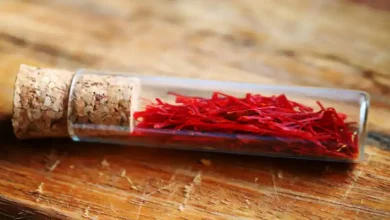 کشت گلخانه ای زعفران بدون خاک