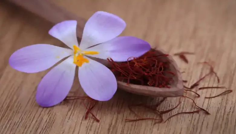 گل زعفران برای چی خوبه