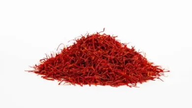 آفات زعفران چیست