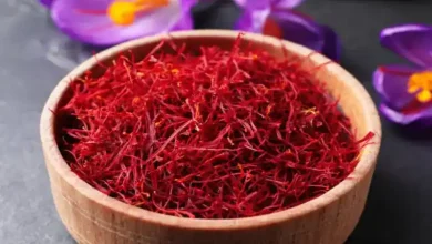 زمان کاشت زعفران در تهران